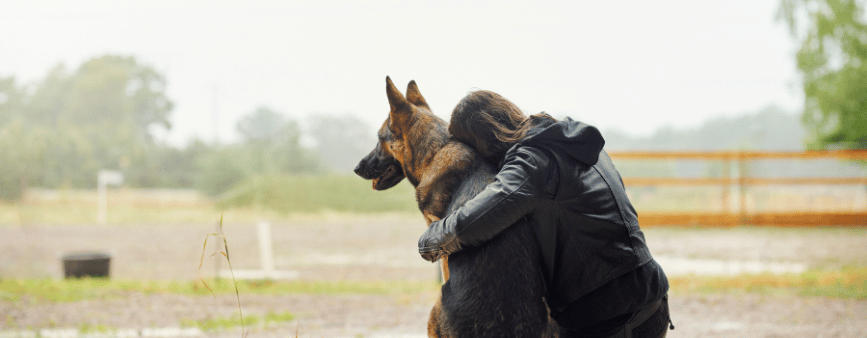 Agria Pet Insurance