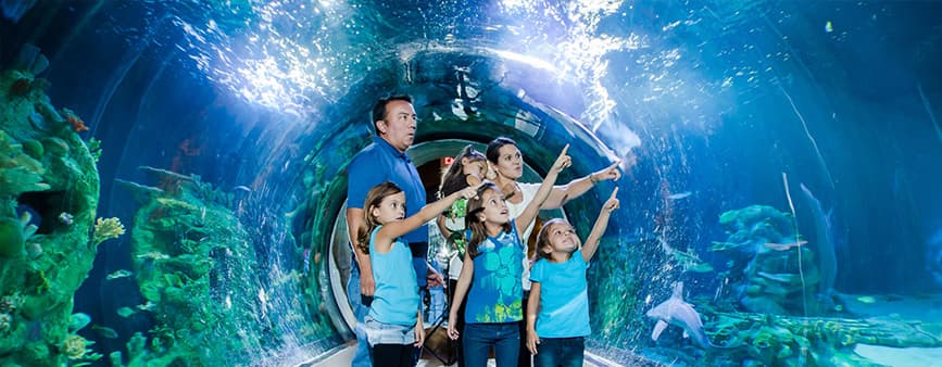 SeaWorld Aquatica & Busch Gardens Orlando